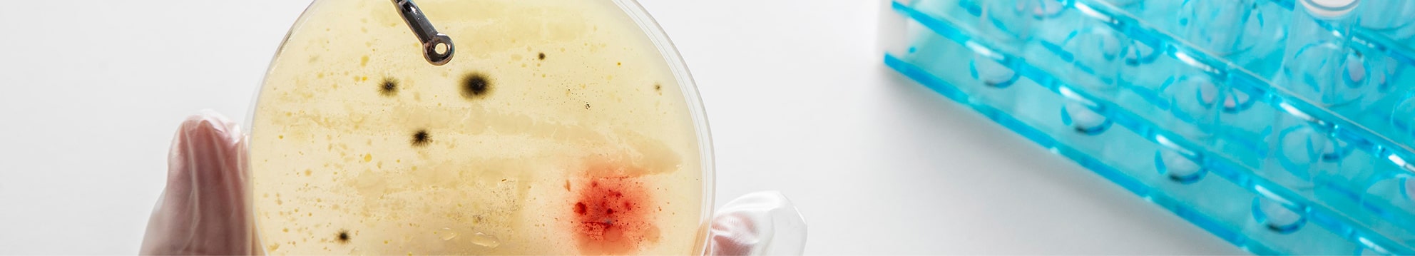 Ovi Clinic Augmented Medicine Diagnostic Tools Genomic Analyses