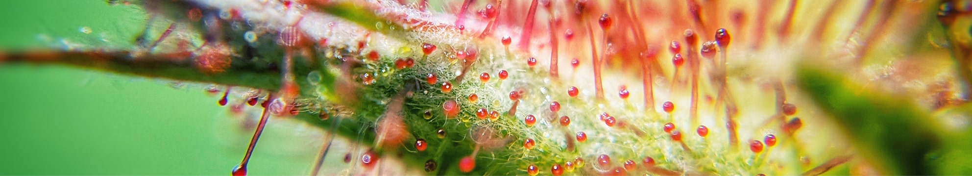 Ovi Clinic Augmented Medicine Innovative Therapeutic Technologies Bioresonance