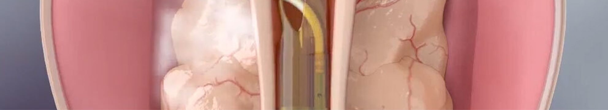 Ovi Clinic Augmented Medicine Innovative Therapeutic Technologies Resum