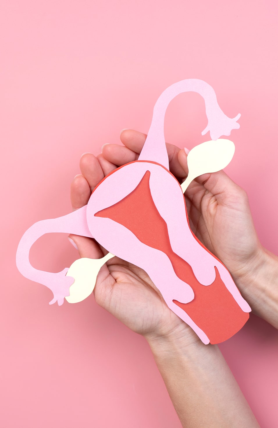 Ovi Clinic Gynecologie Operatoire Et Chirurgie De L Endometriose