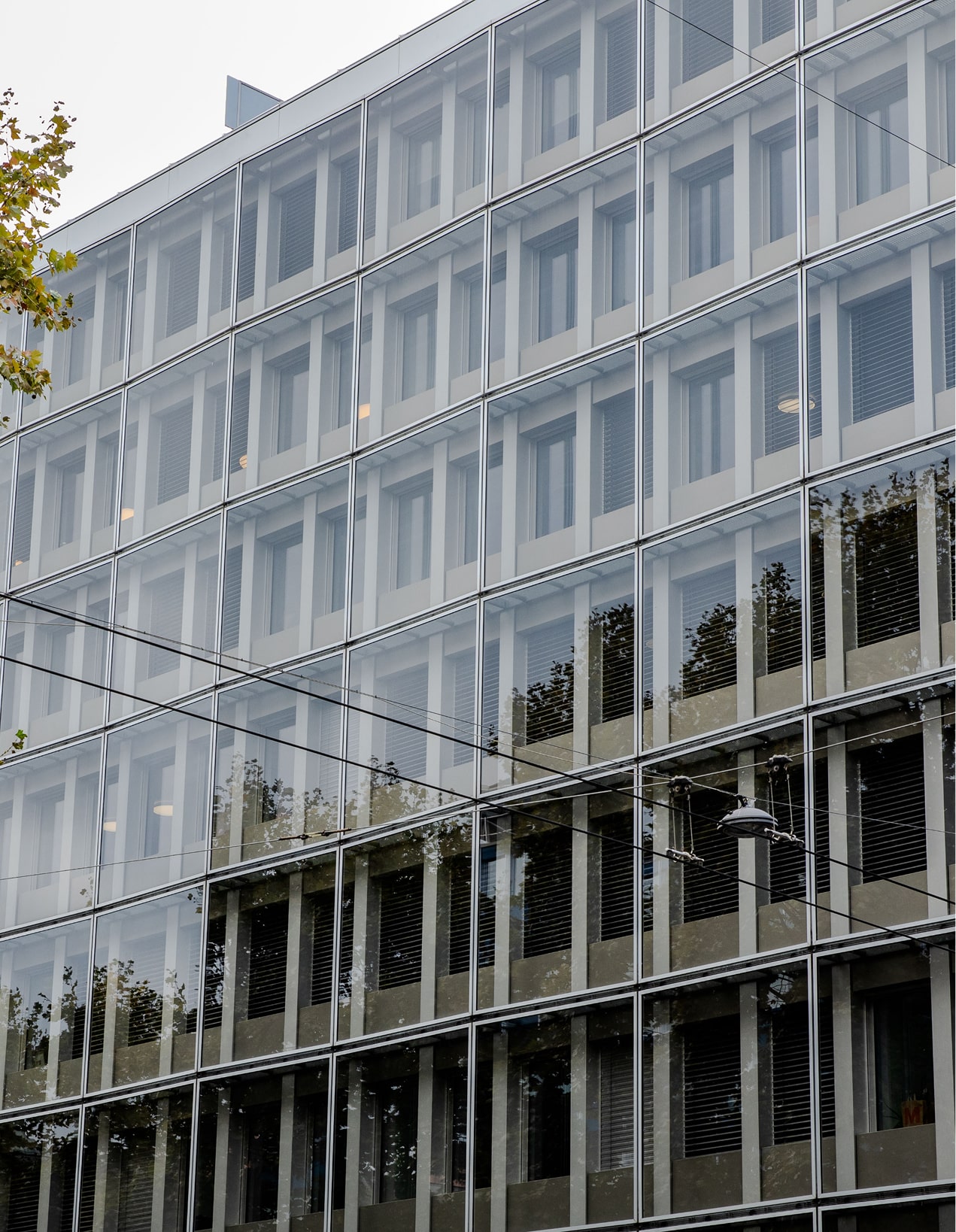 Ovi Clinic La Clinique