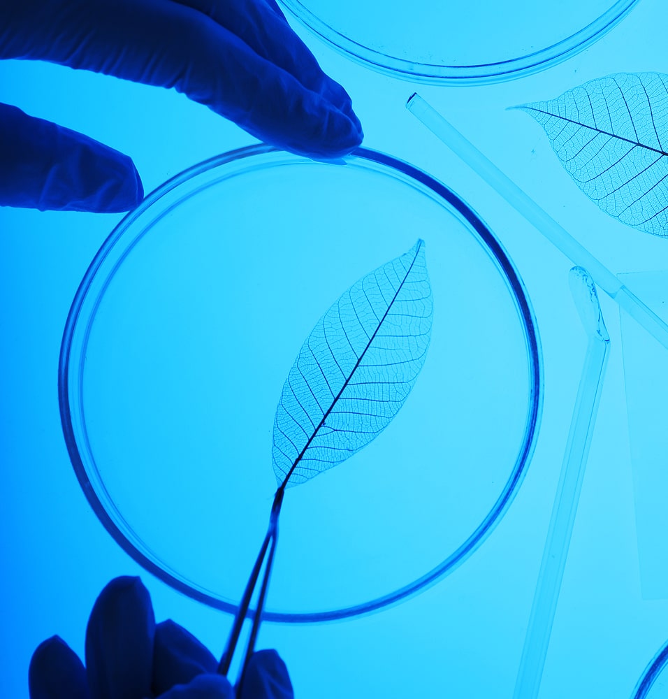 Ovi Clinic Nos Specialites