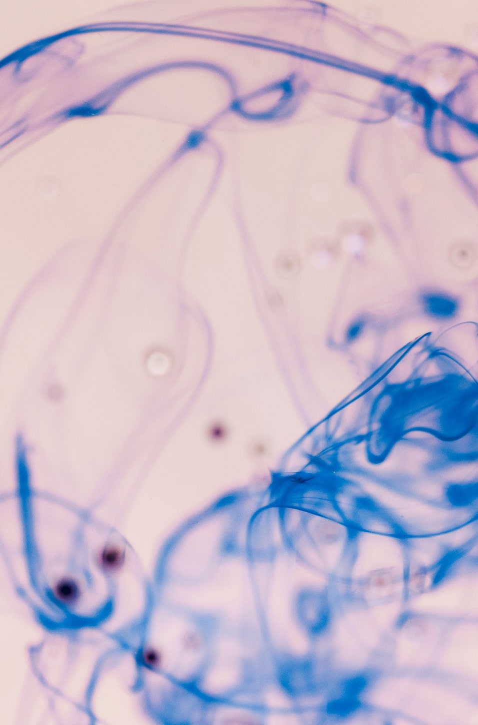 Ovi Clinic Specialite Endocrinologie Et Maladies Metaboliques