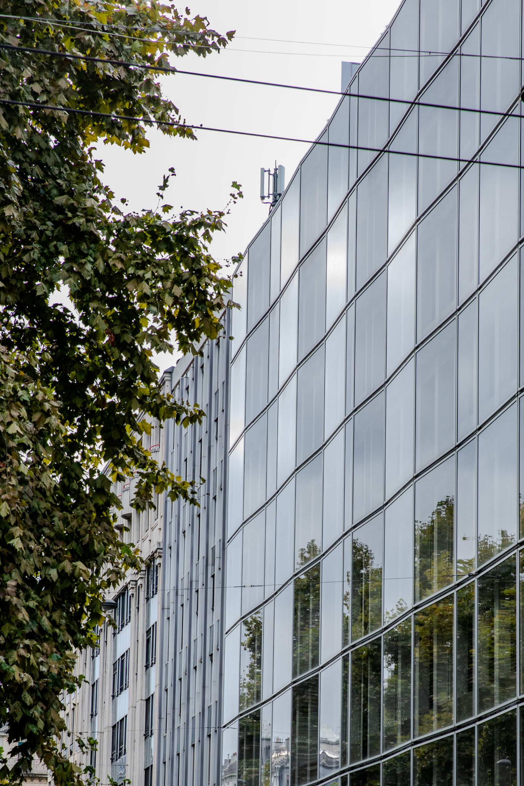 Ovi Clinic Portraits 39